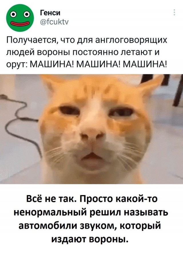 Весёлый полтишок 18.04.23