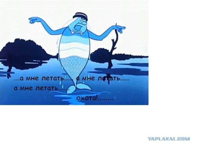 Толстолоб