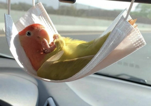 Подборка интересных и веселых картинок