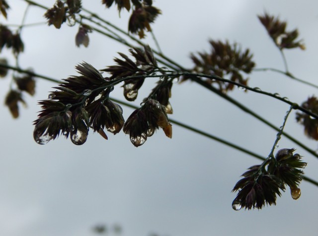 Уральское лето моими глазами
