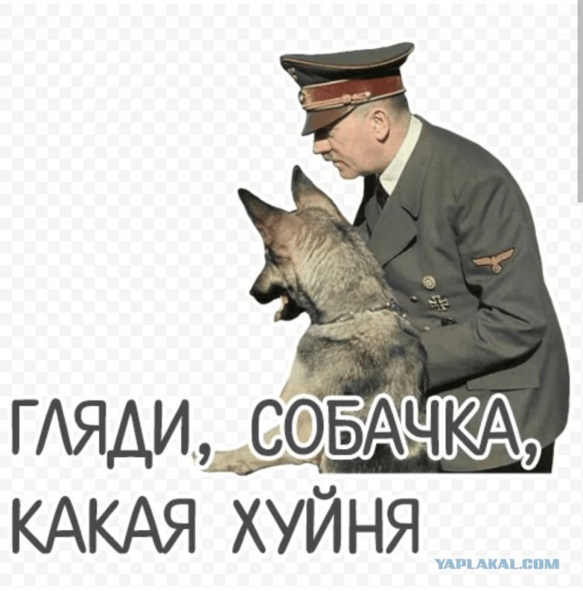 Немецкий язык очарователен