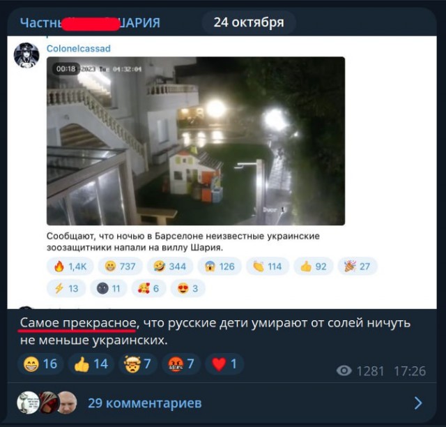 Ходят слухи, что виллу Анатолия Шария в Испании, забросали "коктейлями Молотова"