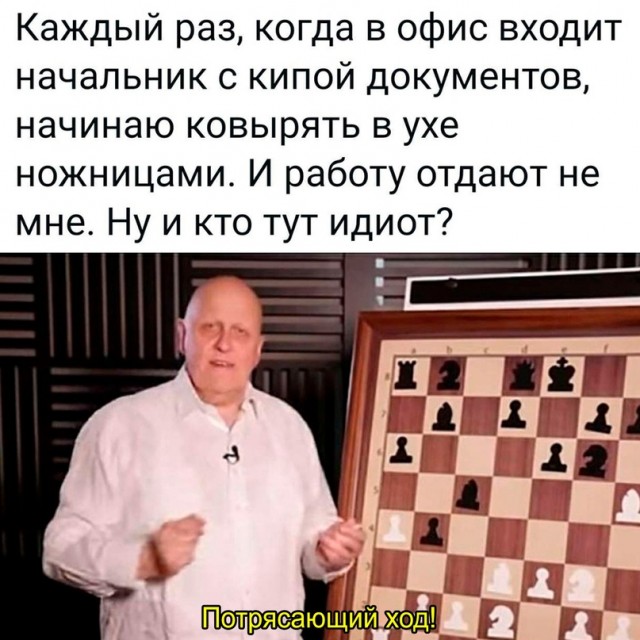 Весёлый полтишок 01.11.23