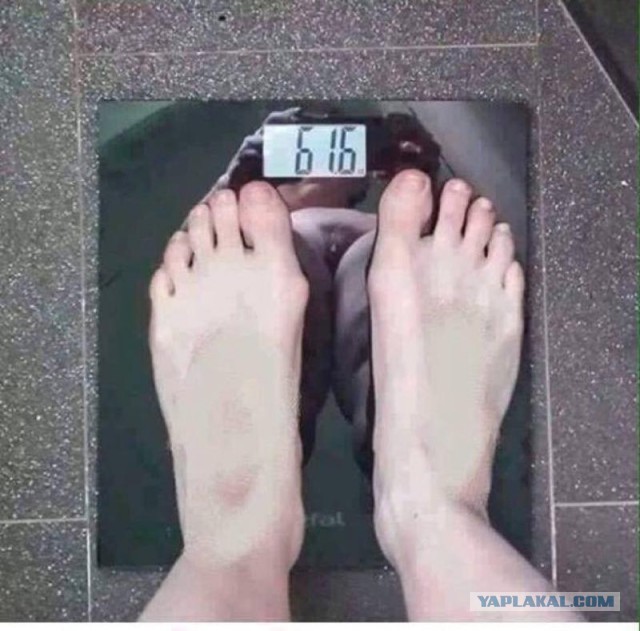 Немного пофотались