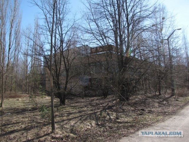 Репортаж из зоны отчуждения: