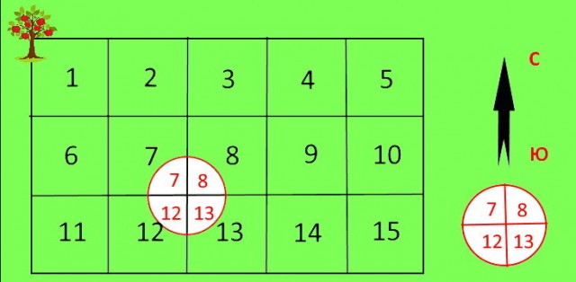 Квартальный столб - простой способ сориентироваться в лесу, о котором знает каждый лесник, но не всякий охотник