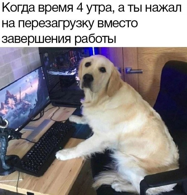 Сколько-то картинок