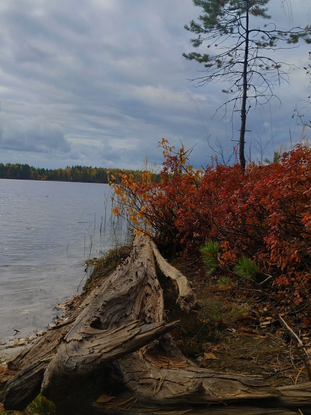 Осень на озёрах 2