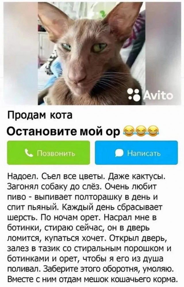 Прикольные и просто красивые картинки 15.10.2024