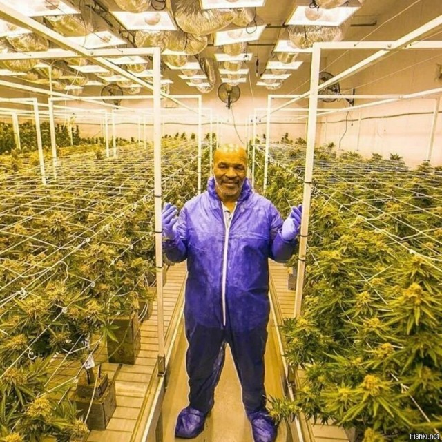 Майк Тайсон влепил пощечину квадроберу