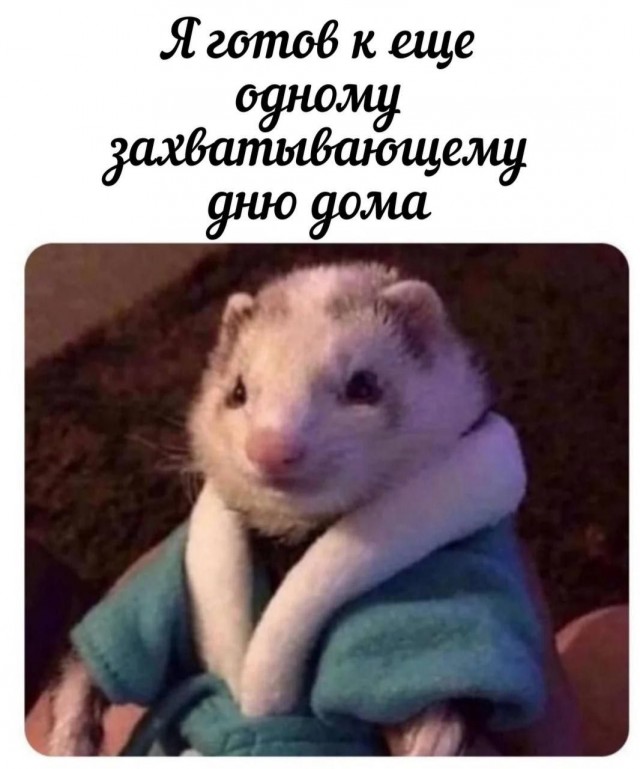 Всего понемногу. От 04.12.2024