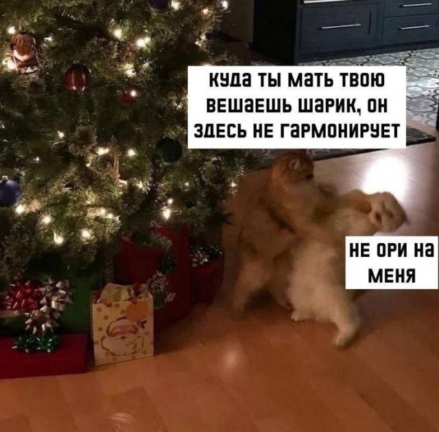 Завалялось тут случайно немного забавных картинок