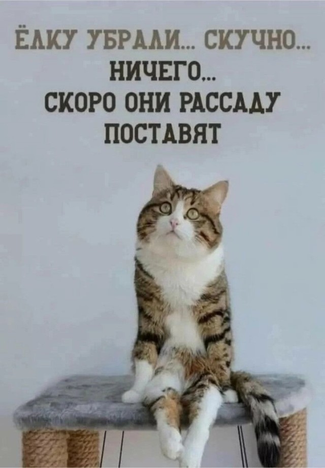 Картинки выходного дня