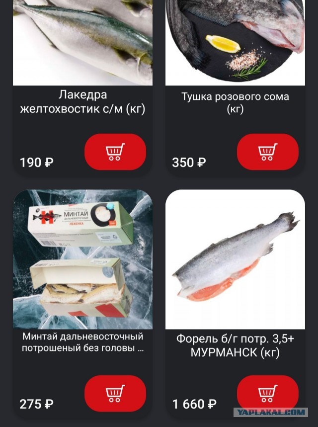 Впервые за 20 лет потребление минтая в России достигло 4 кг на человека