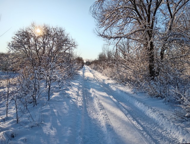 Сегодня, опять на 2 удочки