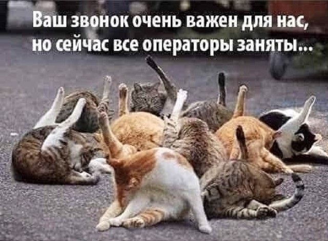 Так себе картинки 19.03.25