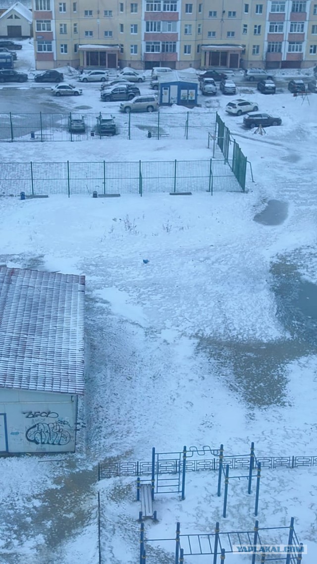 Змеи проснулись в Нижегородских лесах