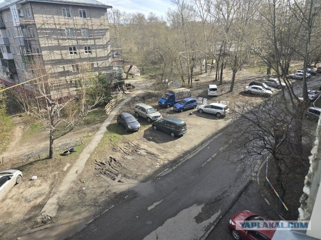 Упоротый и парковка на газоне