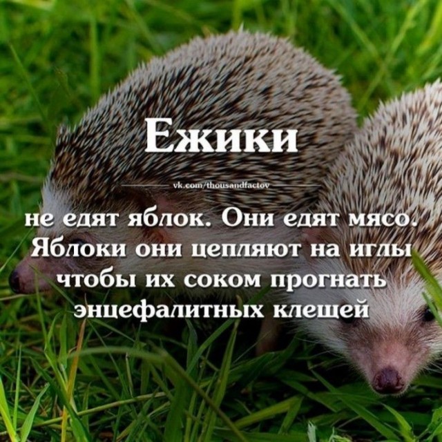 Прикольные и просто красивые картинки 06.05.2025