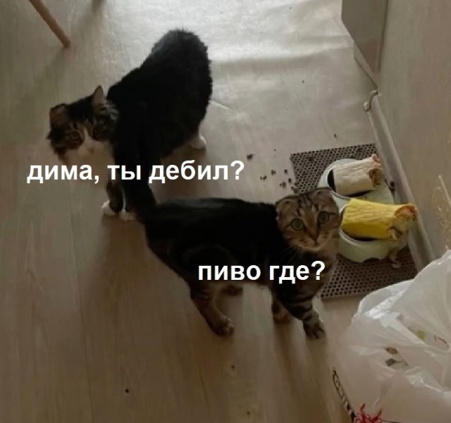 Так себе картинки 07.05.25