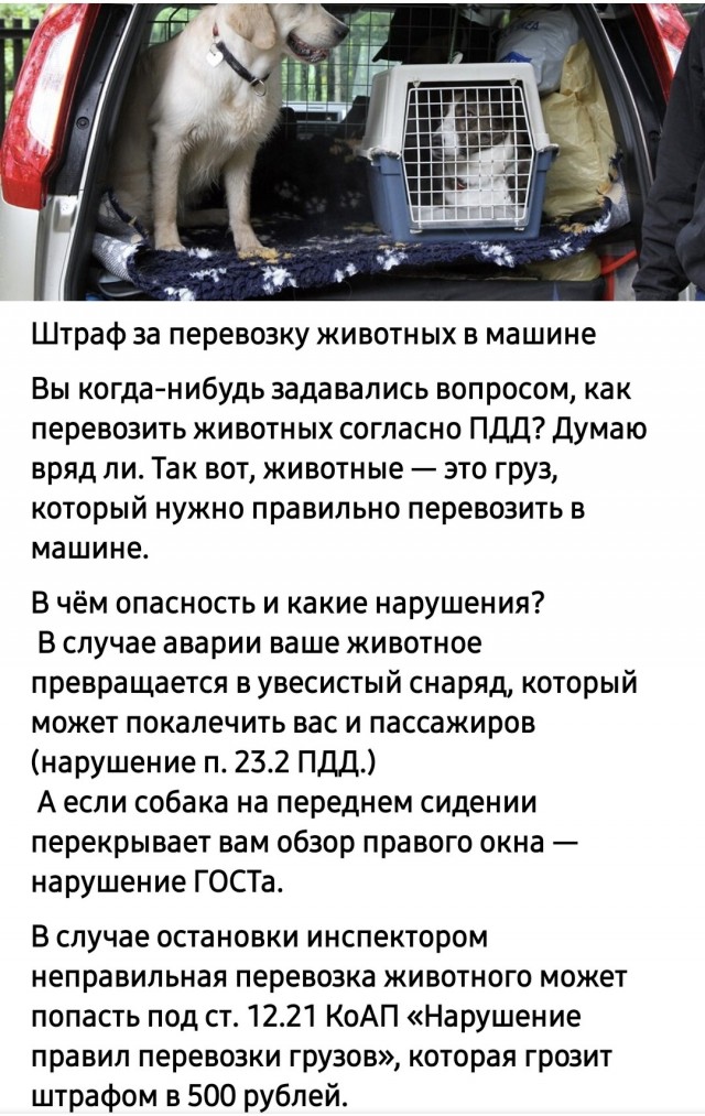 Закрылись от хозяина