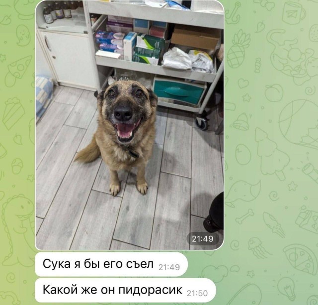 Сеня, дичь!