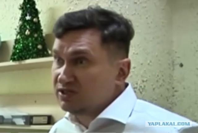 Хозяин стаффорда, которого несколько лет просили надеть намордник на собаку, избил председателя ТСЖ