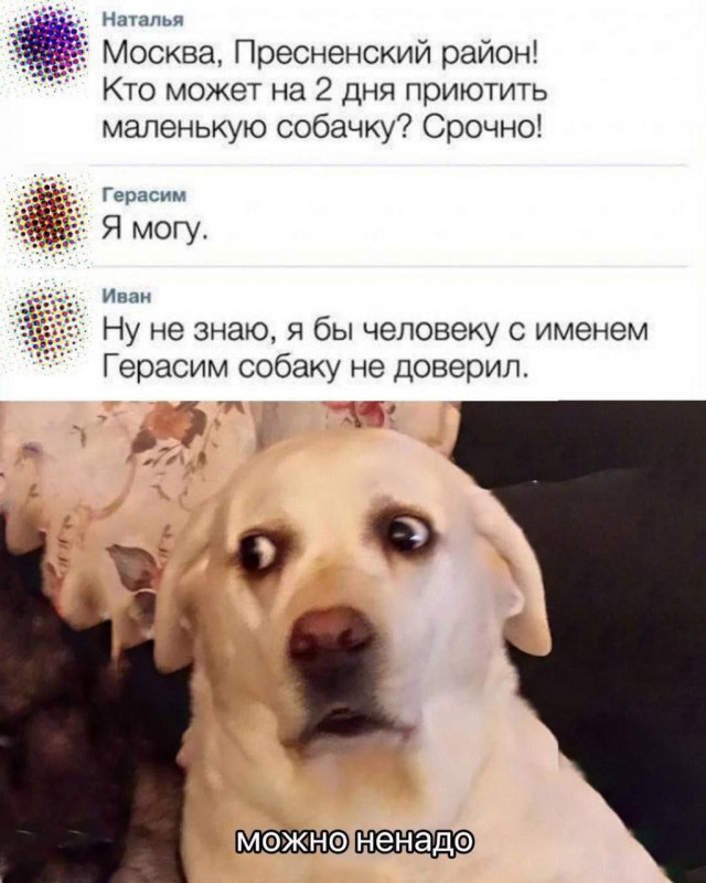20220450.jpg