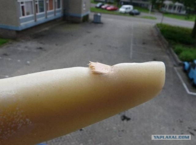 Оближи скорее мороженое!
