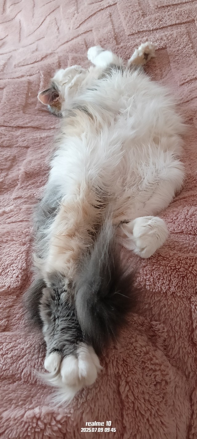 Его первый вторник