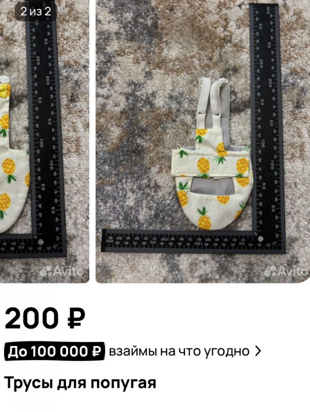 Мужик спас брошенных птенцов попугаев и вот что из этого вышло
