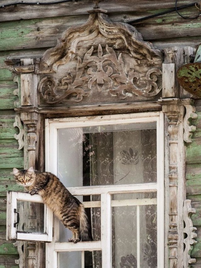 Прикольные и просто красивые картинки 29.08.2025