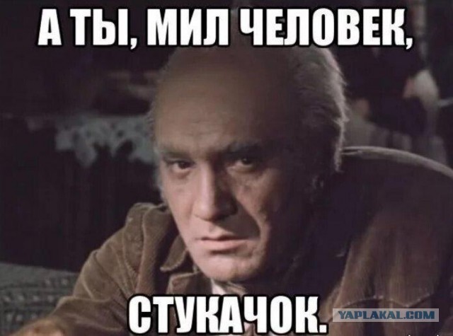 Повезло кому-то с соседями