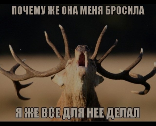 По телевизору показали вдохновляющую историю о настоящей любви и ответственности