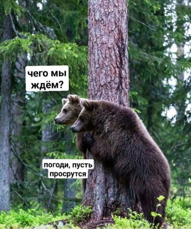 Понедельника картинки