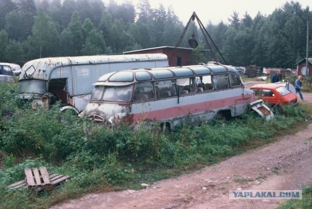 Игра на ЯПе: Угадай АВТО-7