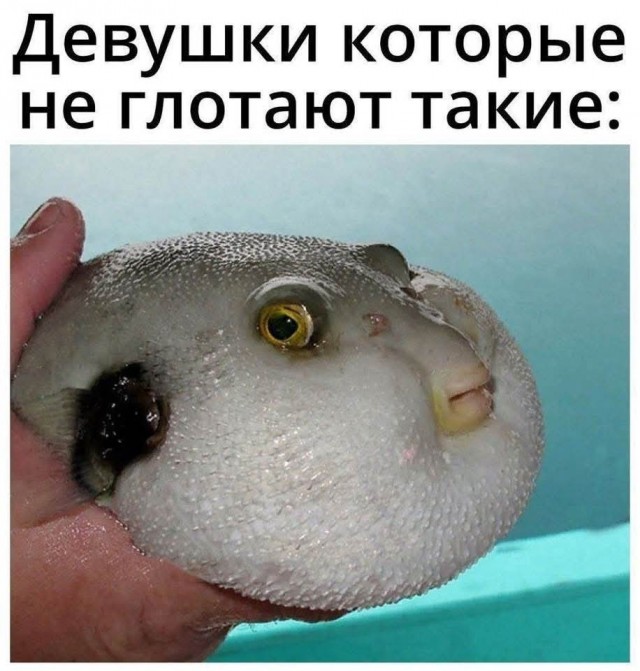 Маленькая пятница 18.02