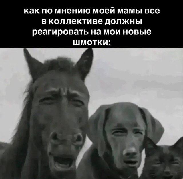 Воскресные картинки