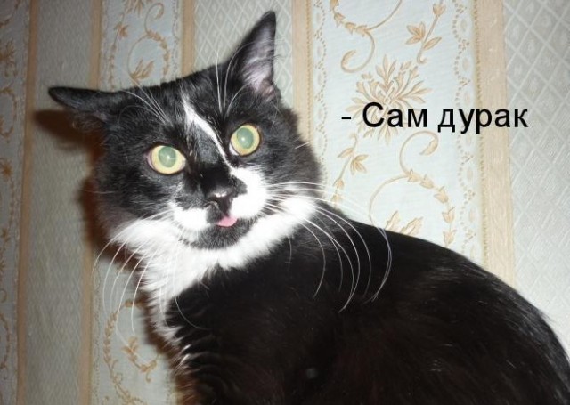 Ни о чём