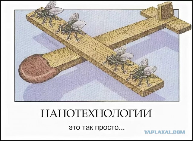 Шутка дня)