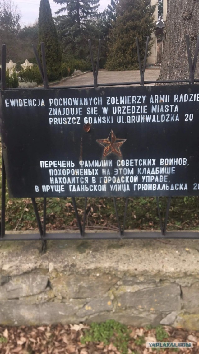 «Радуемся Красной Армии». В Польше сказали спасибо русским…