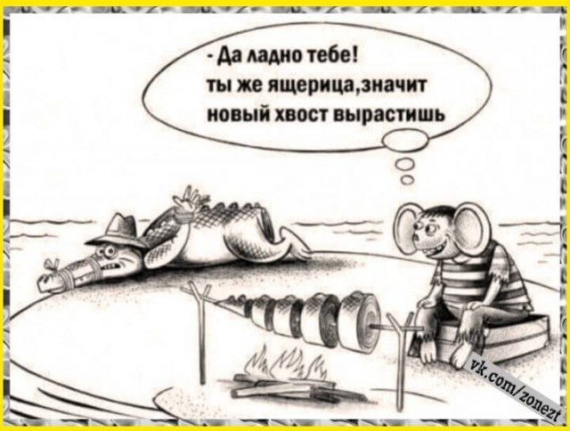 Картинки для деградации 202 (разной степени свежести)