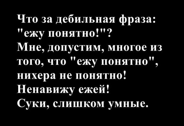Почти всё, что вы знаете про ежей — вымысел