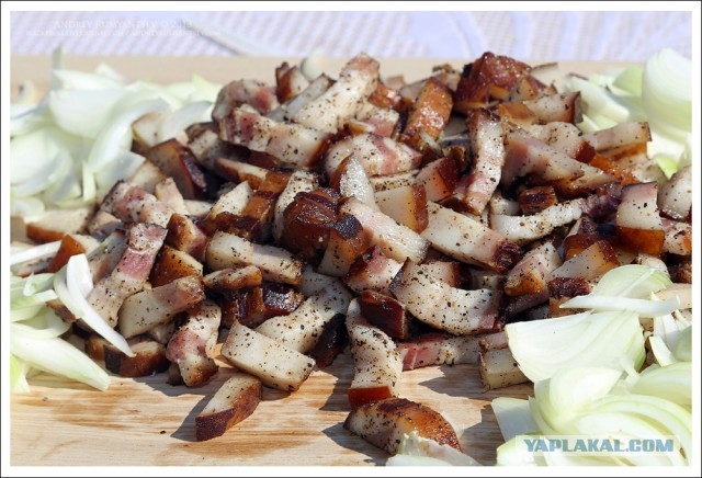 Международный чемпионат ухи 2013