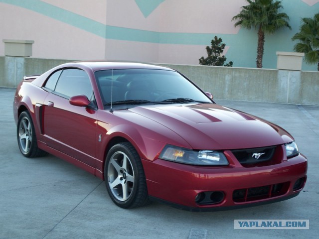 Новый Ford Mustang