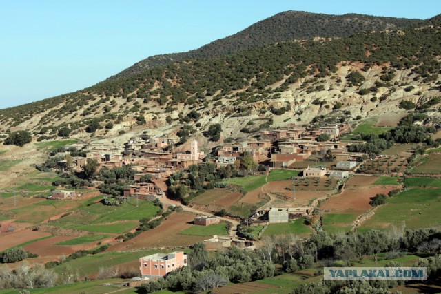 Новогодняя ночь в пустыне Сахара