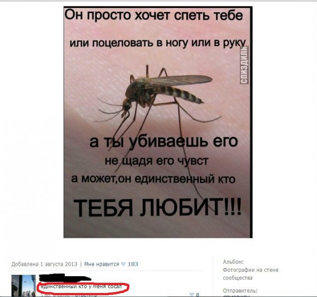 Смешные комментарии из социальных сетей