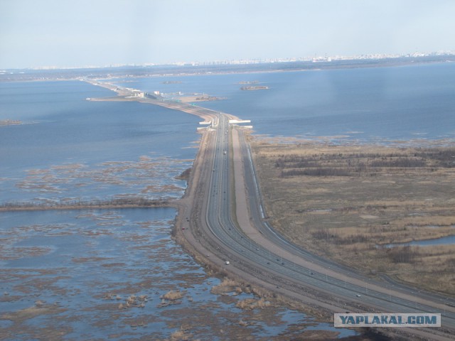 нелаваз тнозирог