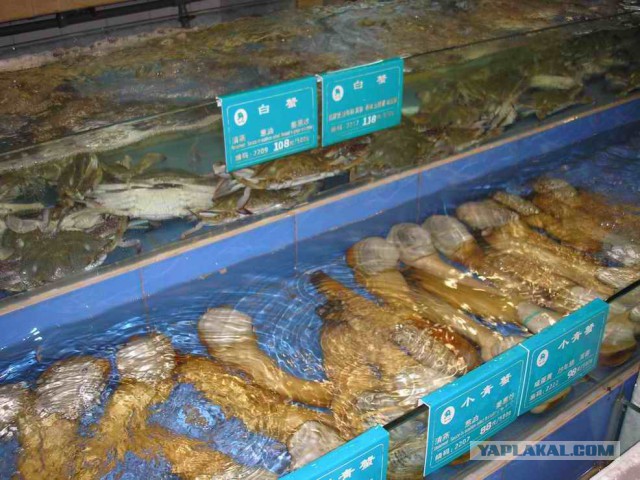 Я хочу замуж