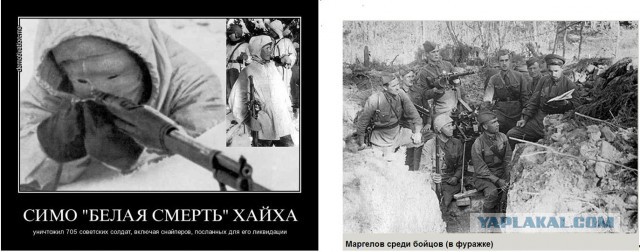Как выглядит белая смерть